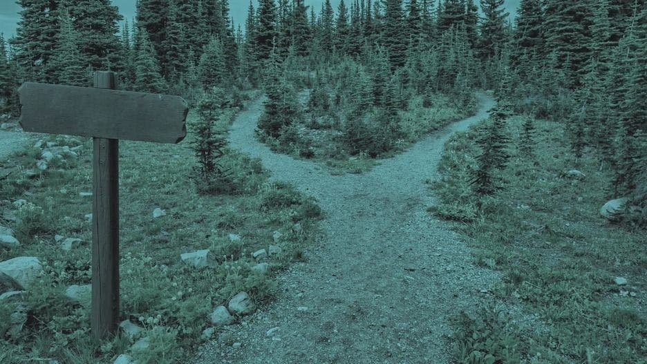 Einen Web-Scraper erstellen vs. Datenextraktions-Tools verwenden